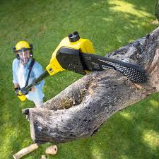 Best Tree Preservation Services  in Bend, OR