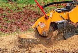 Best Tree Mulching  in Bend, OR